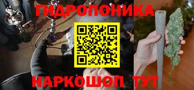 Альфа ПВП Дубна