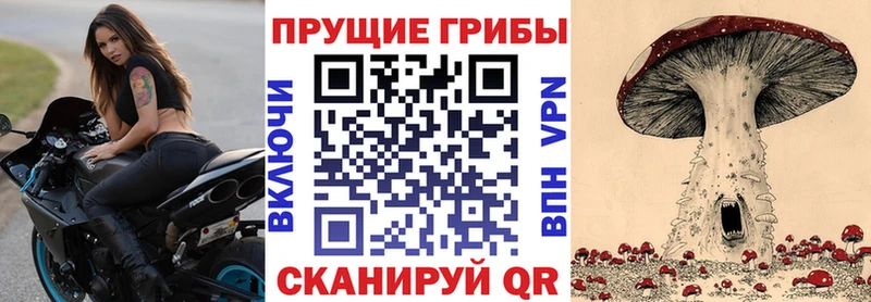что такое   Ливны  Галлюциногенные грибы мухоморы 